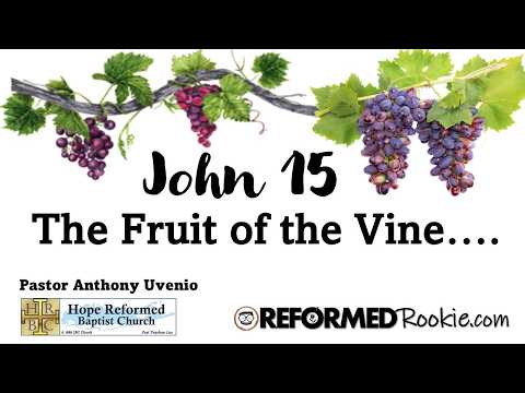 John 15: The Fruit of the Vine