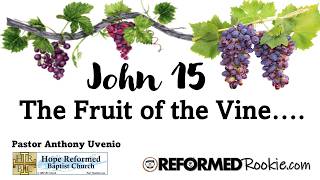 John 15: The Fruit of the Vine
