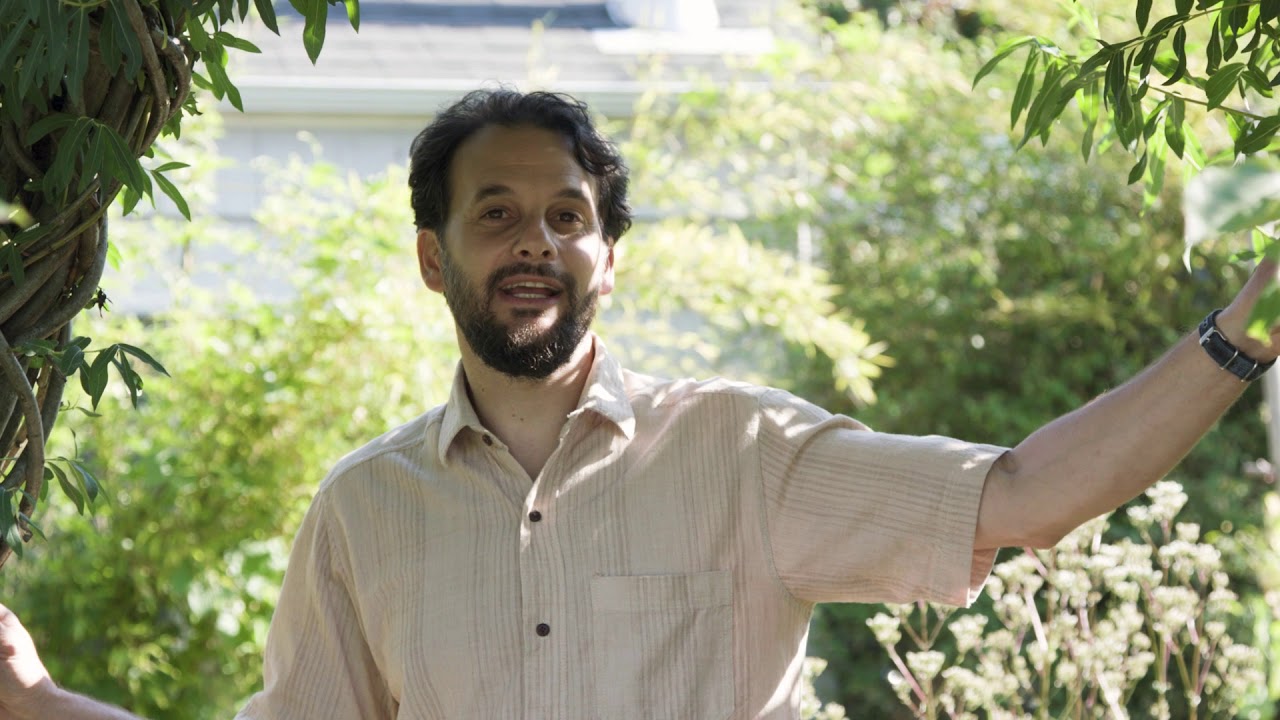 Идеальная плодоносящая пермакультурная живая изгородь