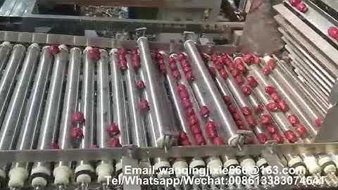 Korean jujube slicing machine/Jujube slicer/dates slicing machine