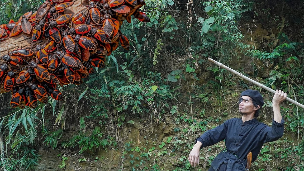 Mountain Life: In the Rainforest Catching, and Eating Insects the Primitive Way