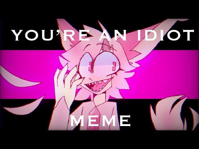 you are an idiot meme 