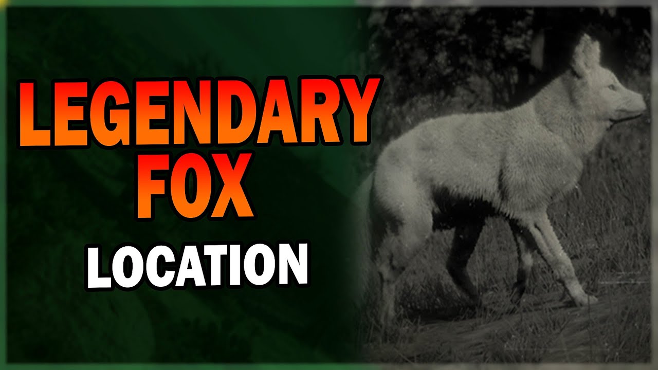 Legendary Fox Location in Red Dead Redemption 2 - Red Dead Redemption 2 ...