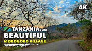 🇹🇿Tanzania: Tour of Morogoro Village's Natural