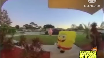 Spongebash Screenbug Test 