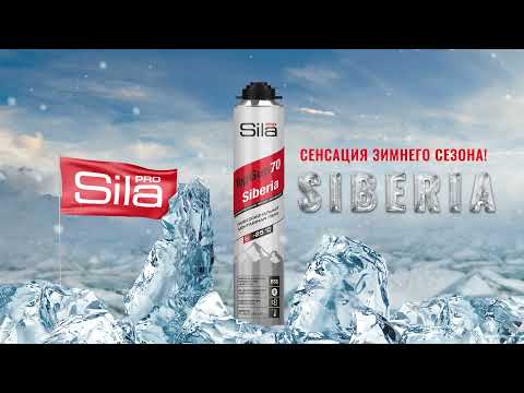 Video: Penny Siberia