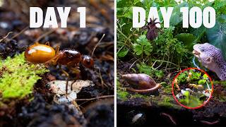 Simulating a Forest for 100 Days 🐜 I Built an Ant Colony Ecosystem