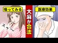 【漫画動画】もしも大麻を使うとどうなるのか?大麻の医療効果、メリット・デメリットとは?