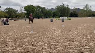 How to Ride the Double Slalom in Working Equitation