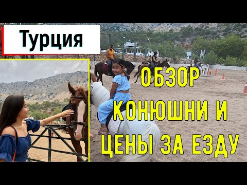 Конюшня в Турции - Верховая езда в Анталии