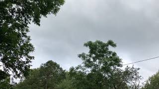 IMG 8866