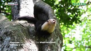 Reserva de la Biosfera Isla de Ometepe