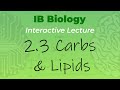 Carbohydrates And Lipids: Key Concepts In Biological Macromolecules