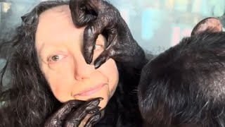 Playful Chimpanzee Grooming Woman
Bow was so playful this morning! At the very end of the video he wanted me to kiss his ear, and then he playfully captured my nose.
Aya Katz on Apple Music:
https://music.apple.com/us/artist/aya-katz/1823447791
Thank you to members, Patron ZippedUpKitz and Donors Jenna H, Austin Smith, CaracasZibidi, EF, Григорій Славутський, Yigit, Polly, RJ Tuvlin and our latest member, Mariana Stoffin!
Join this channel to get access to perks:
https://www.youtube.com/channel/UCMFOFKeAjwLWAlNrCvQVxvQ/join Playful Chimpanzee Grooming Woman