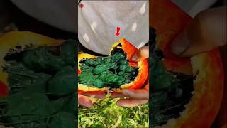 The Hidden Fruit No One Expected