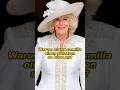 Warum starrt camilla einen soldaten so böse an? #camilla #charles #kate #capcutforde #capcut