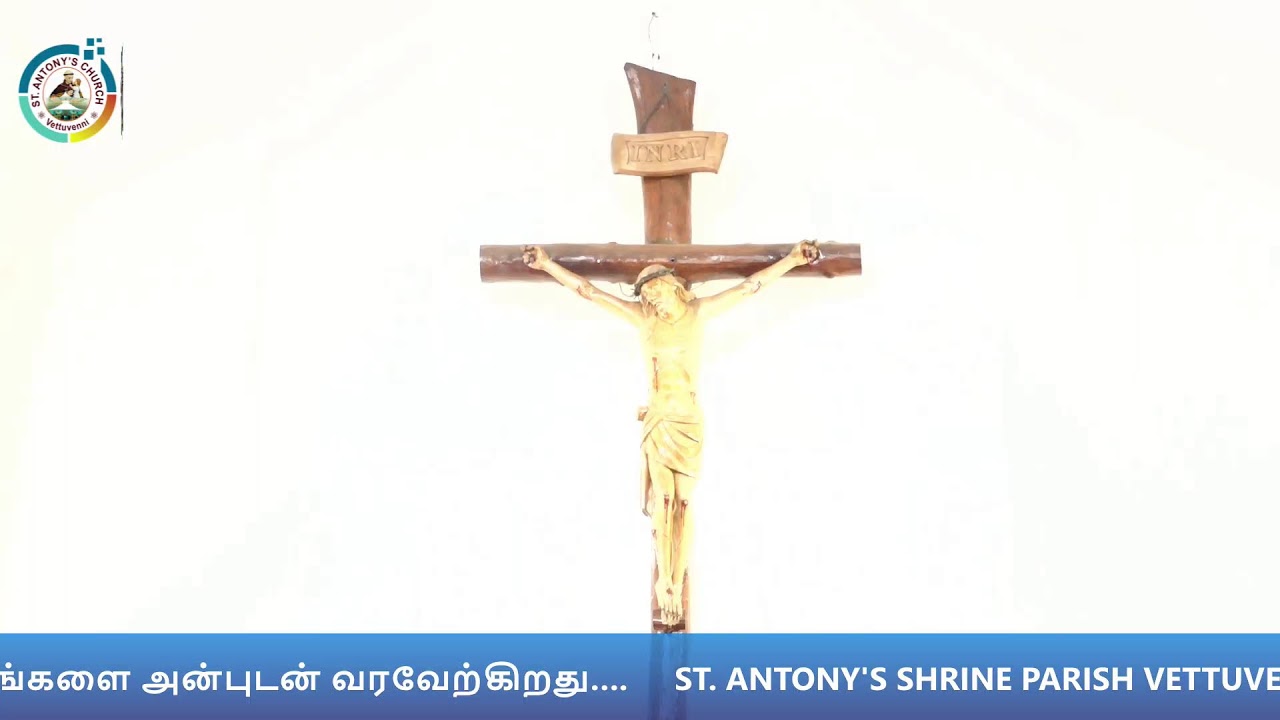 St Antony's Shrine Parish Vettuvenni  10.03.2026 TUESDAY Holy Mass