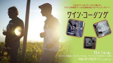 映画で旅する自然派ワイン『ワイン・コーリング』予告編　11/1(金)公開