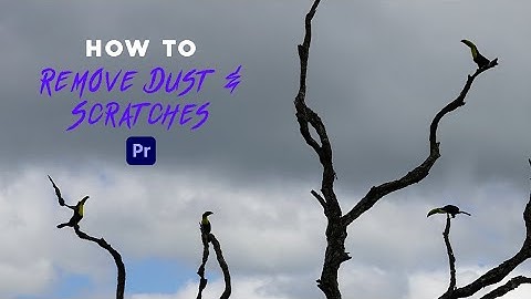 How to Remove Dust & Scratches | Adobe Premiere Pro