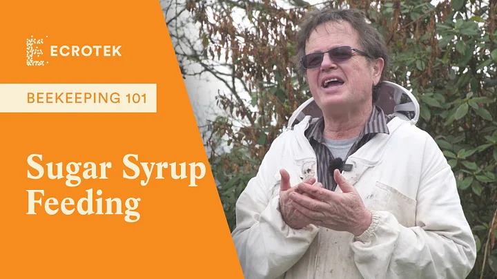 Beekeeping 101: Feeding Sugar Syrup to Bees - Dr M...