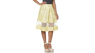 Wendy Williams Pleated Taffeta ALine Skirt screenshot 4