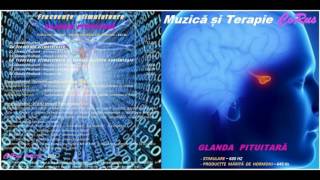 CoRus - Muzică și Terapie  - Glanda Pituitară / Music and Therapy - Pituitary Gland