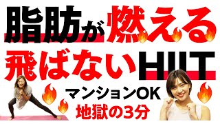 【地獄の3分】マンションOK！脂肪燃焼効果抜群のHIITトレーニングで本気のダイエット【飛ばないHIIT】
