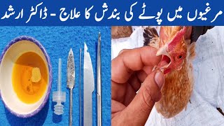 How to Treat Sour & Impacted Crop in Backyard Chickens by Dr. ARSHAD