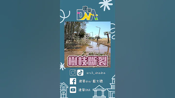 【建築DNA】到底是砍樹還是修樹？#人行道 #樹木 #樹木修剪 - 天天要聞