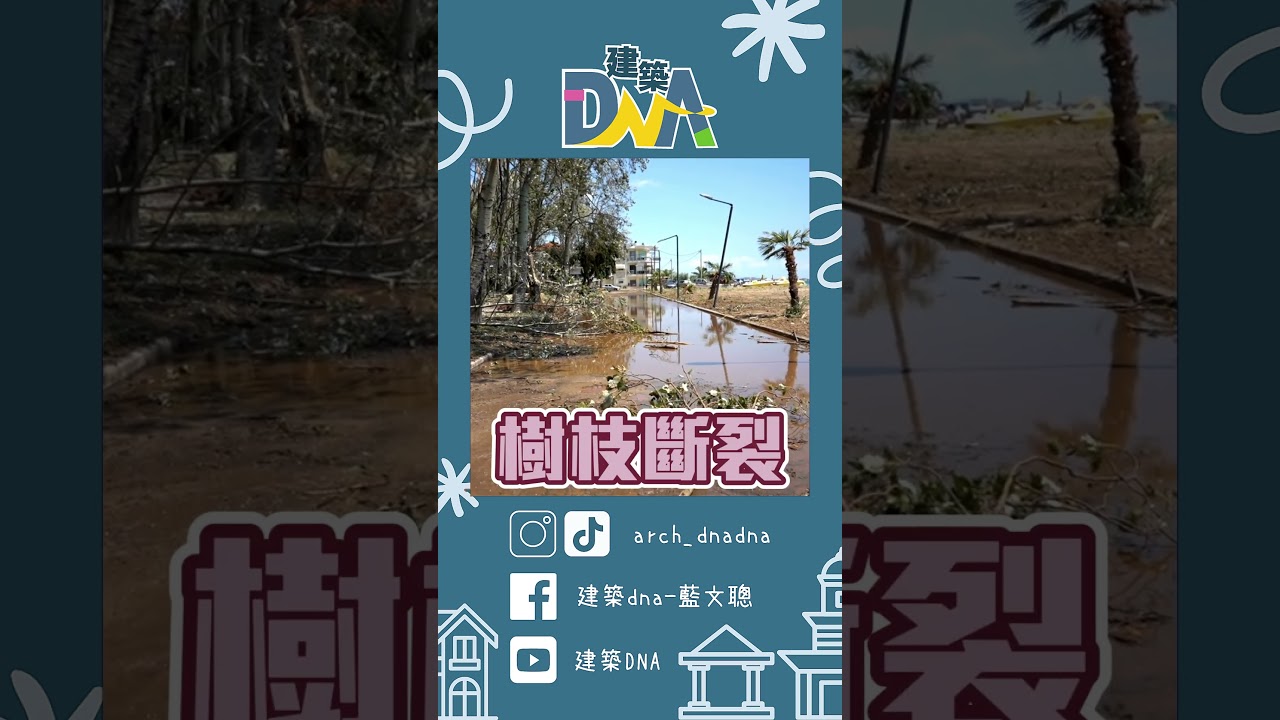 【建築DNA】到底是砍樹還是修樹？#人行道 #樹木 #樹木修剪