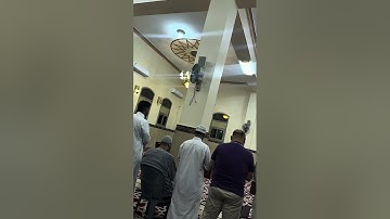 فجرية هادئة سورة تبارك القارئ عبدالبديع غيلان ✨