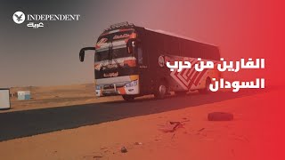 توافد حافلات الفارين من الحرب في السودان نحو مصر