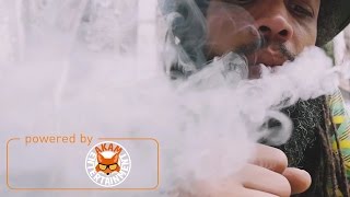 Addis Pablo - Universal Dub [Official Music Video HD] Profile