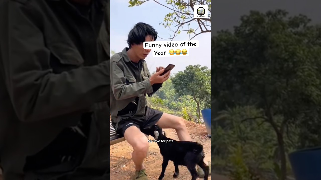 Animals Being Silly and Cute 😹 | Funniest Pet Moments Compilation 2025