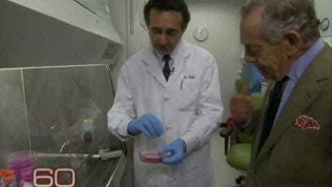 Web Extra: Growing an Ear