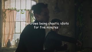 the crows being chaotic idiots for five minutes