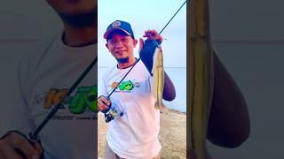 Casting Waduk Semantok Nganjuk fishing mancingmantap mancing snakehead