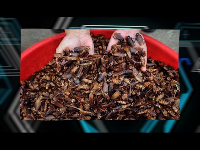 Совет дня. Аэрозоль "Блокбастер".