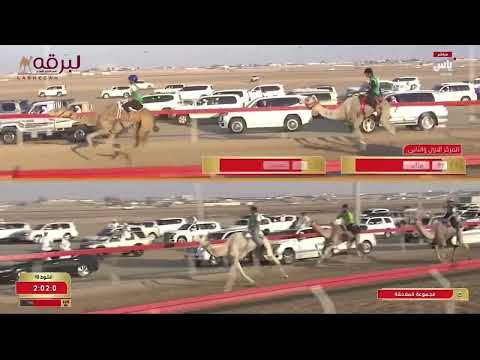 ش10 جمر ل أحمد خلفان المزروعي مهرجان ختامي الوثبة 09 05 2025 سباق الهجن التراثي 3 01 19
