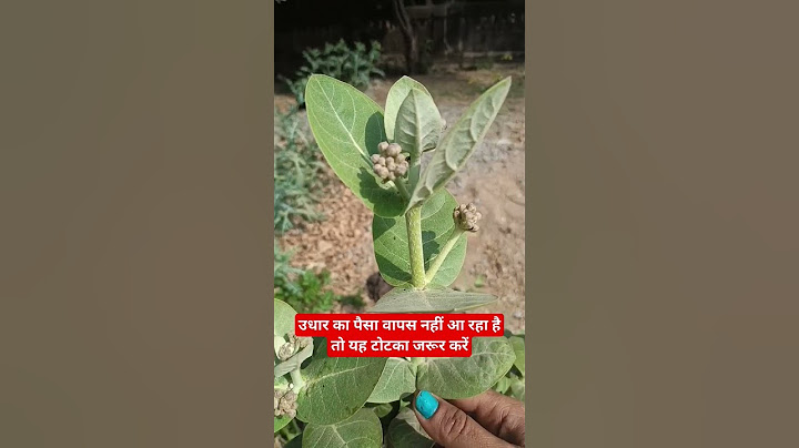 उधार का पैसा वापस नहीं आ रहा है तो यह टोटका जरूर करें जानिए उधारी बसूल करने का उपायshortvideo#viral#