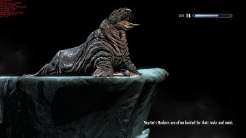 when a noob plays skyrim MAGE PC