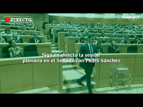 🔴 EN DIRECTO | Pedro Sánchez participa en la sesión plenaria de control del Senado