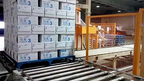 Sinolion Robot Arm Palletizer , Conveyor，Rotary Arm Stretch Wrapper（Dairy products）