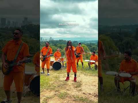 Levo comigo (Restart) versão Reggae por Bloco do Caos #shorts #restart #reggaebrasil #rocknacional