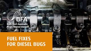 Fuel fixes for diesel bugs | Bulk Fuel Australia
