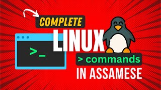 Master Linux Commands in Assamese: Job Interview Guide (Basic to Advanced)