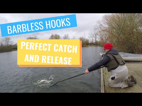 Barbless hooks , land more fish 
