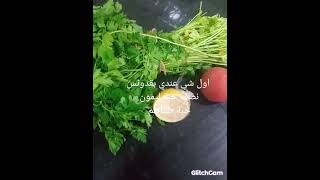 طريقة عمل تبولة ???