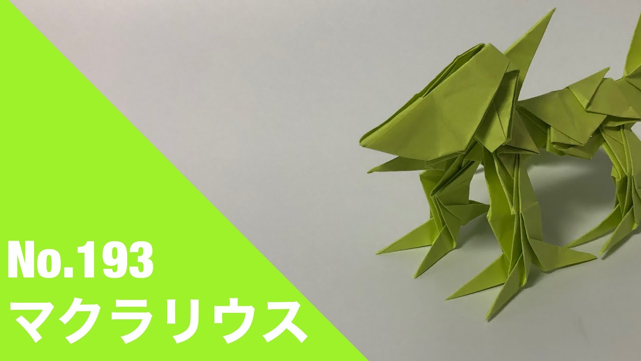 折り紙】作品No.193「マクラリウス」 10枚【ヒョウモントカゲモドキ