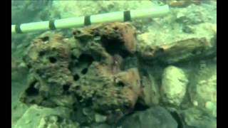 Sunken ruins of cleopatra's palace. 3/5 ...